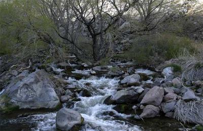 Owens River Gorge #2