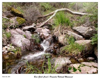 Bear Gulch Creek