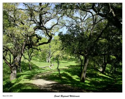 View of the trail back