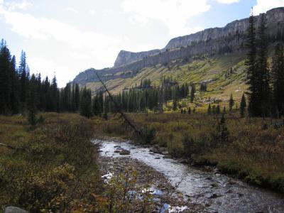 Last meadow as we climb to the shelf above