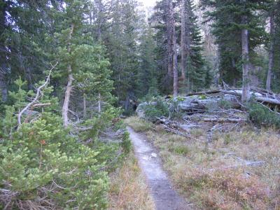 IMG_0476.JPG
