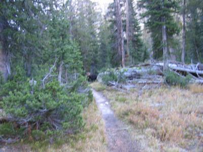 IMG_0477.JPG