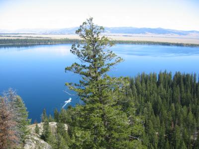 Jenny Lake Ferry