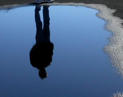 Reflections