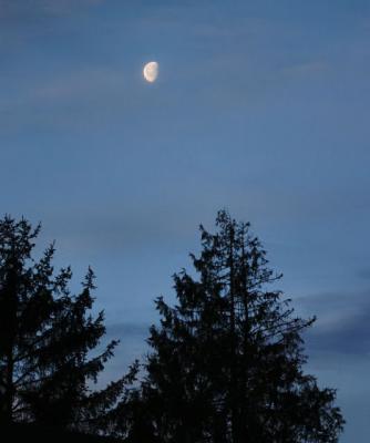 Moon silhouette_2379r.jpg