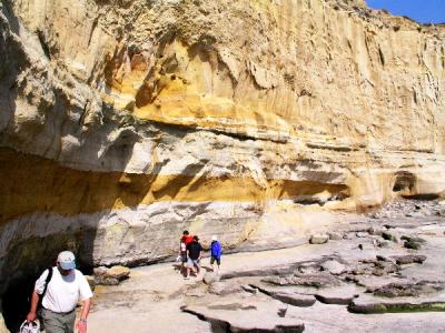 Cliffs of Sandstone - Torrey Pines State Beach