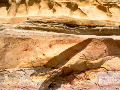 Torrey Pines Reserve