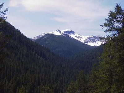 Yellowstone Mountain
