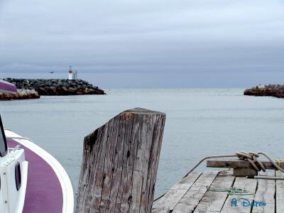 Glace Bay Harbor