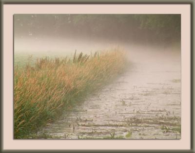Early morning mist - 1