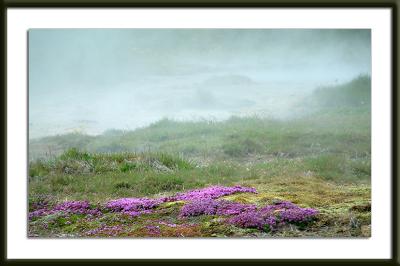 Sulphur beauty - Iceland -1a