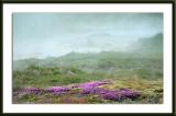 Sulphur beauty - Iceland -1a