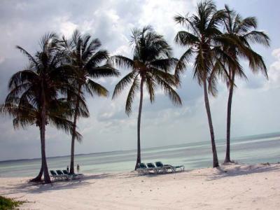 Sunbathing on Coco Cay...A Private Island in the Bahamas