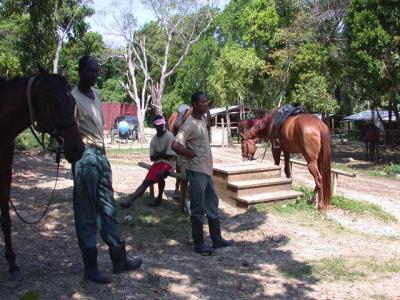 Jamaican Trail Ride...from the Corral to the Surf