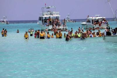 Waiting for the Sting Rays