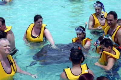 Stingray City-5.jpg