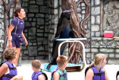 Sea Lion Encounter-2.jpg