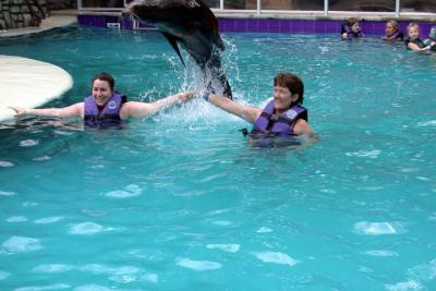 Sea Lion Encounter-6.jpg