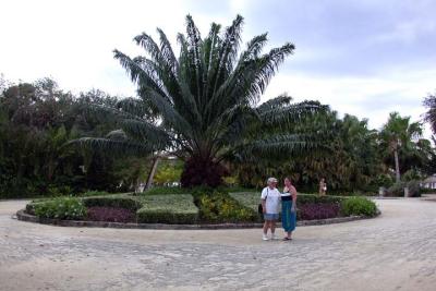 Botanical Garden-Chankanaab-1.jpg