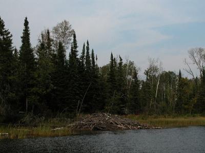 We were told they tried to blow this thing up with 24 sticks of dynamite. I hope they let it be.