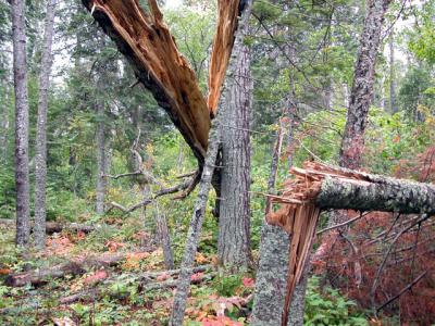 Storm damage