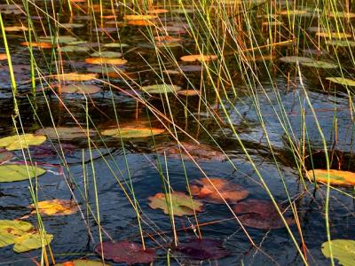 Beautiful fall colors