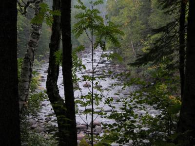 u43/cbowker/medium/33523786.riveratjmsp7.jpg