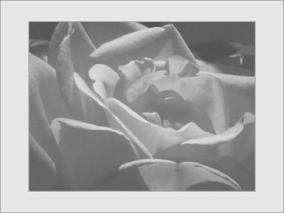 ... intimacy