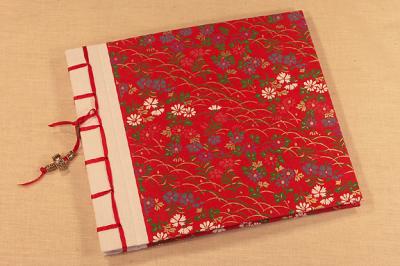 u43/cernynh/medium/33698948.journal114772lg.jpg
