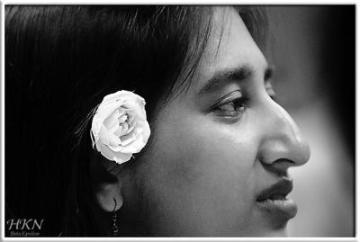 u43/changm/medium/27861708.DSC_2963_web.jpg