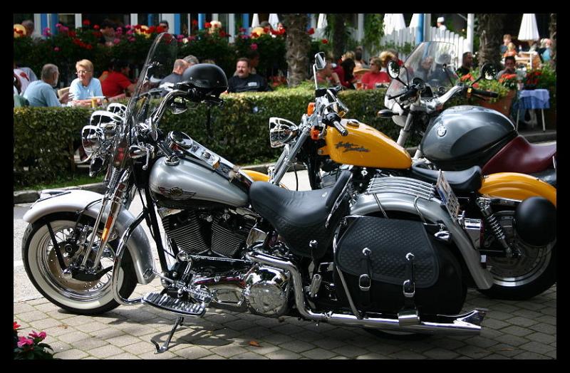 Harley Davidson