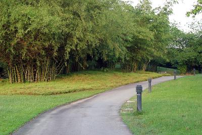 Path
