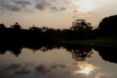 Dawn