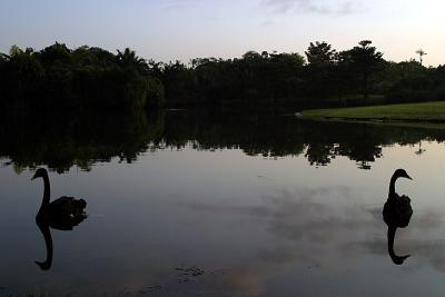 Eco Lake 1