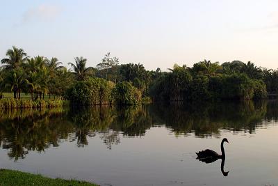 Eco Lake 2