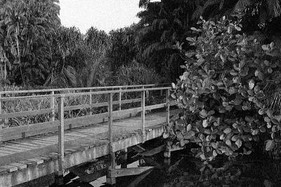 Across The Bridge