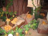 Choux Garden