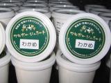 Seaweed Ice Cream