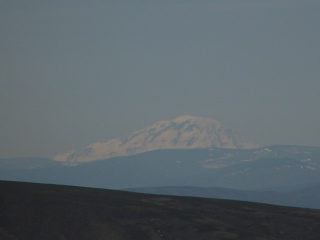DSC08998.JPG