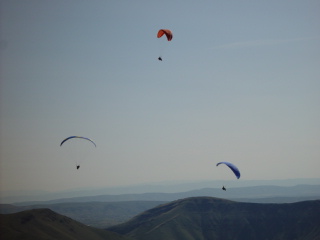 DSC09004.JPG