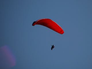 DSC09005.JPG