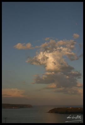 CRW_1401.jpg