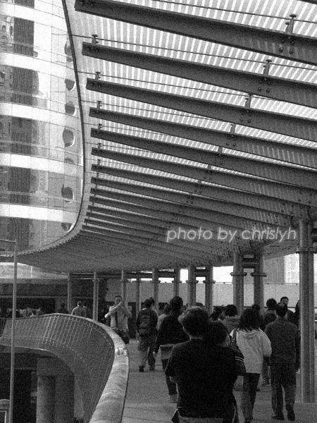 Central 14.jpg