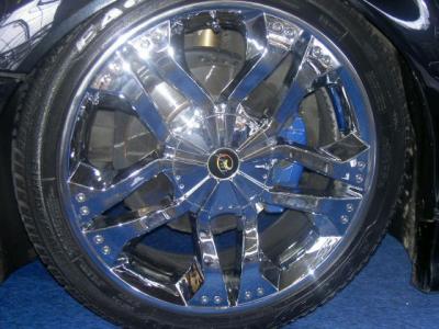 RAI Autobeurs 002.jpg