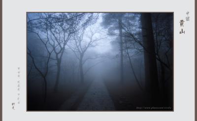 foggy 01.jpg