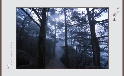 foggy 03.jpg