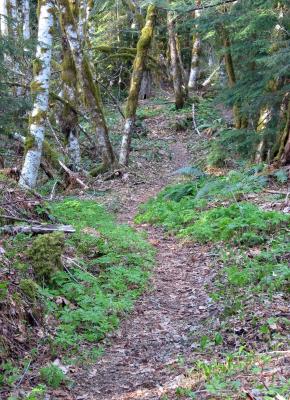 11 Lost Creek Trail