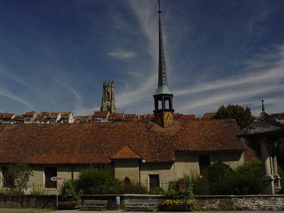 DSC06852.jpg