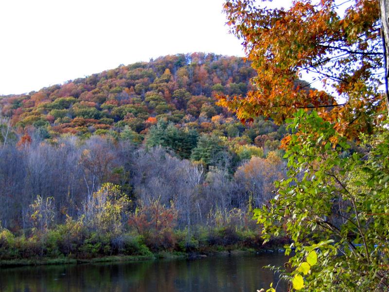 Connecticut