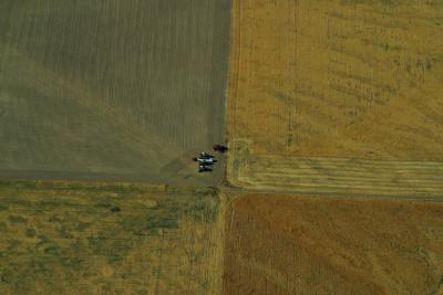 Corn fields, Lewiston, Wa
